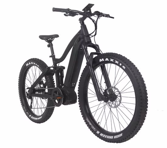 Hidden Battery Mountain Electric Bicycle 250W 350W Electric Bike