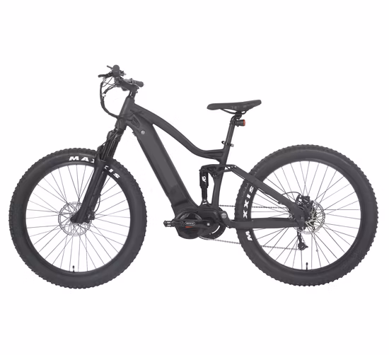 Hidden Battery Mountain Electric Bicycle 250W 350W Electric Bike