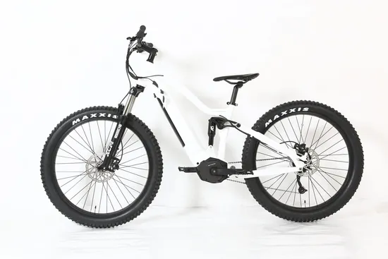 Hidden Battery Mountain Electric Bicycle 250W 350W Electric Bike