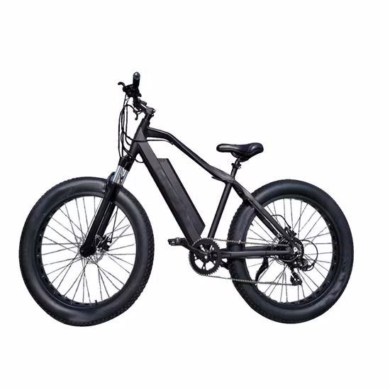 500W/750W/1000W 26 Pulgada 100Nm Shimano 7