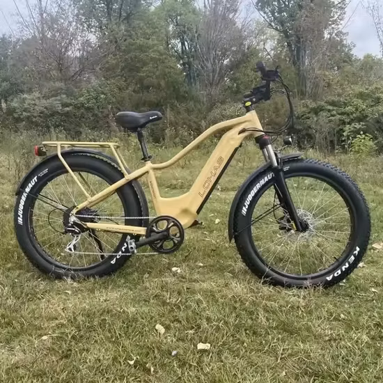 Bicicleta eléctrica de la ciudad del viajero de la bici de la batería de litio de la bici eléctrica 48V 500W de la fuente de la fábrica