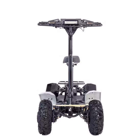 6000W60V 3000W 60V ATV eléctrico Quad Bike apagado